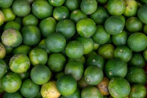 featured-image