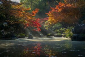 featured-image