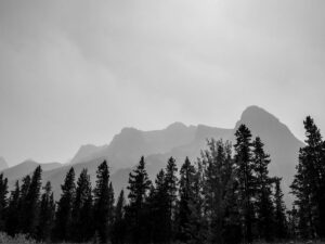 featured-image