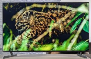 featured-image