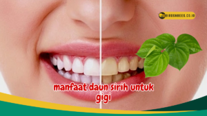 featured-image
