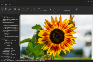 featured-image