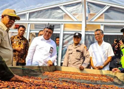 Fantastis! Rp 826 Juta Kucuran Dana Kemensos: Petani Kakao Ende Siap Panen Emas Hitam!
