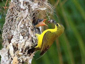 featured-image