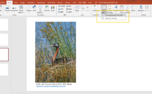 featured-image