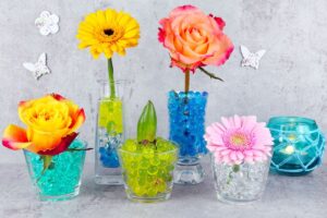 featured-image