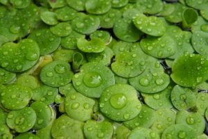 featured-image