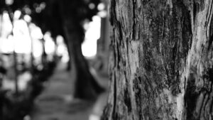 featured-image