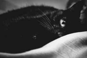 featured-image