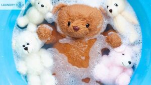 featured-image