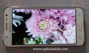 featured-image