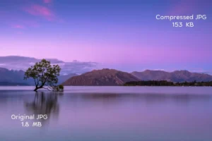 featured-image
