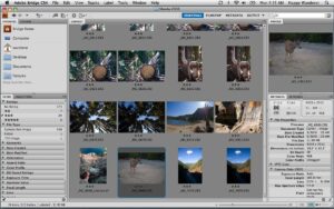 featured-image
