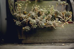 featured-image