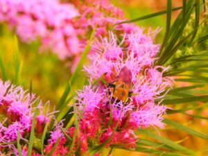 featured-image