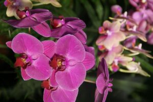 featured-image