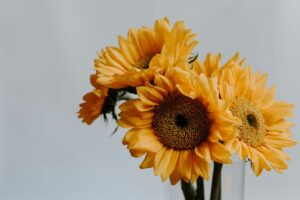 featured-image