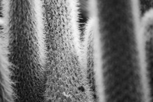 featured-image