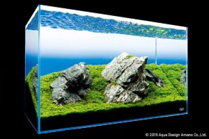featured-image