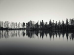 featured-image