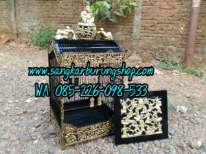 featured-image