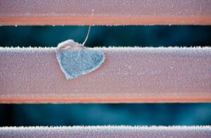 featured-image