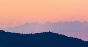 featured-image