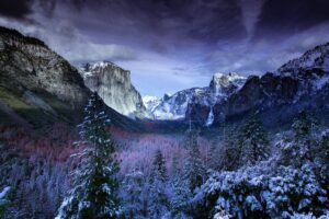 featured-image