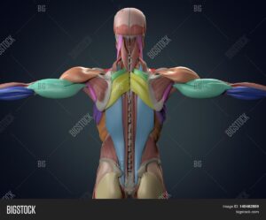 featured-image